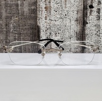 Cartier CT0290 Glasses