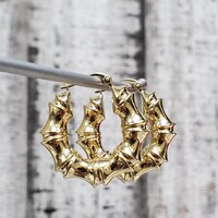 14KFancy Design Semi Solid Hoop Earrings