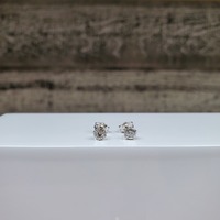 10K Diamond Illusion Set Friction Backs Earrings