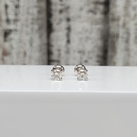 14K Screwbacks Diamond Earrings