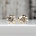 14KLAB GROWN Diamond Stud Friction Backs Earrings