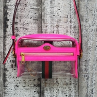 Gucci Transparent Mini Ophidia