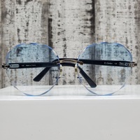 Cartier Plastic Frames ct0048