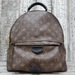 Louis Vuitton Palm Springs Monogram Canvas Backpack MM