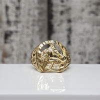 10K Horse Ring