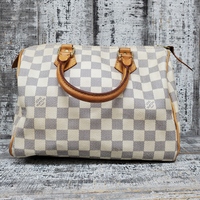 Louis Vuitton Speedy 20 DAMIER AZUR CANVAS