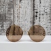 Cartier Circle Lens Glasses CT0152S