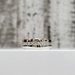 10K Diamond Band Ring