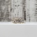 14K 1.00ctw Diamond Cluster Ring