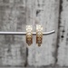 14K TriColor Fancy Design Earrings