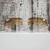 Cartier Plastic Frames and Rose Cut Lenses CT00560