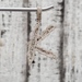 14K Letter "K" Diamond Pendant