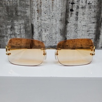 Cartier Wire Glasses CT0009RS
