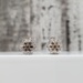 14K Brown/White Diamond Cluster Stud Earrings