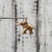14K Elephant Pendant
