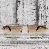 Cartier Horn With Lenses CT00460001
