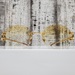 Cartier Sunglasses CT0009