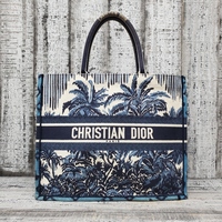Dior Canvas Bag 