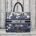 Dior Canvas Bag 