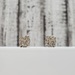 14K Diamond Cluster Stud Earrings w/ Screwback Posts / Friction Backs