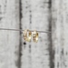 14K CZ Baby Hoop Earrings
