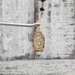 14K TriColor Virgin Mary / Guadalupe Religious Pendant