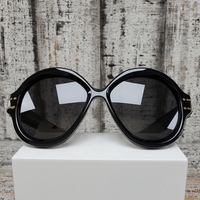 Christian Dior Signature Sunglasses