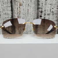 Cartier Horn Gold With White Temples Sunglasses