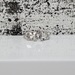 2.34ctw Platinum Diamond Ring
