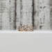 14K Diamond Fancy Design Band Ring