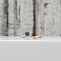 10K Sapphire + Heart Design Fancy Ring