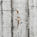 10K Small Crucifix Cross Pendant