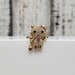 14K Multi Colored CZ Kitty Ring