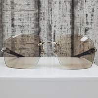 Cartier Horns CT003IRS 002