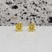 14K Yellow CZ Stud Earrings w/ Baby Screwbacks